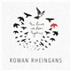 Rowan Rheingans - The Lines We Draw Together
